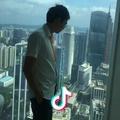无黎头鸠小榄公