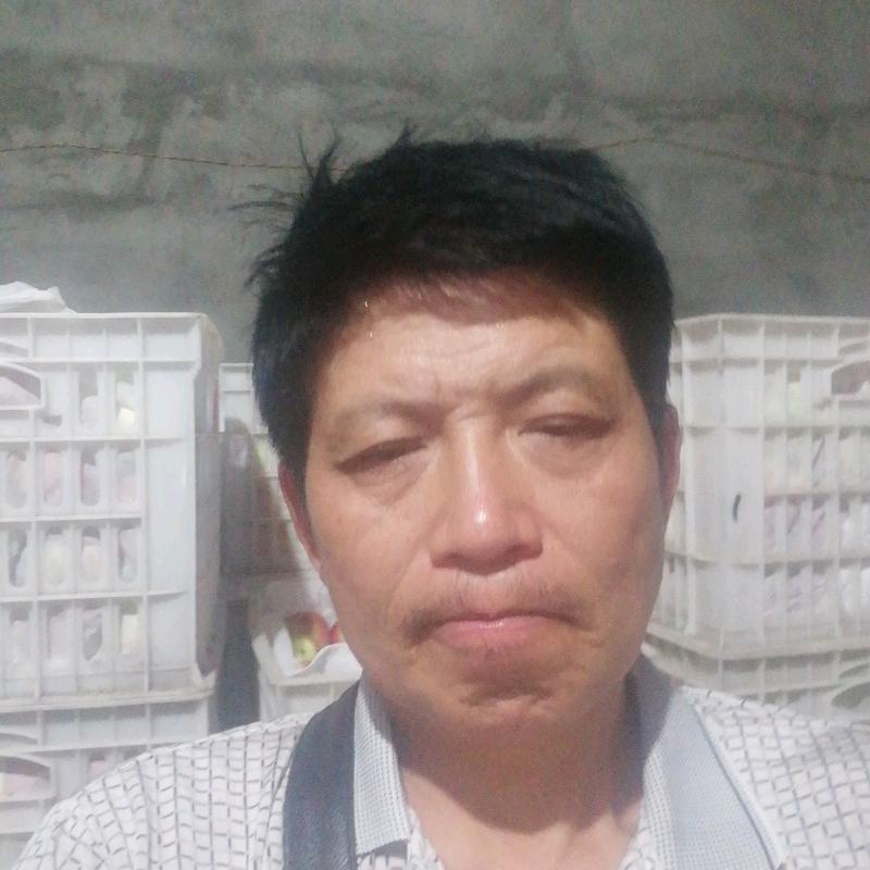 美好天景，李志文