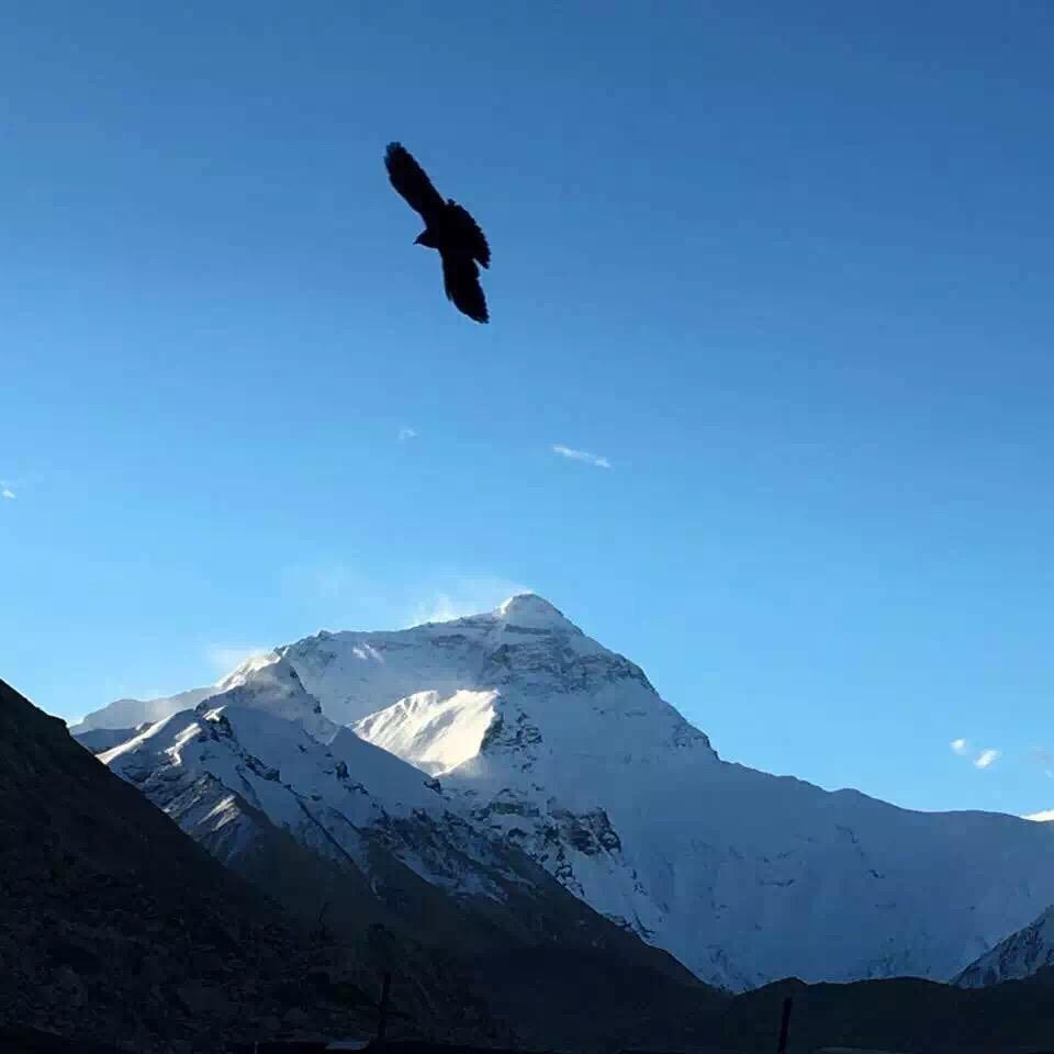 💕疯子King ꦿ᭄࿐