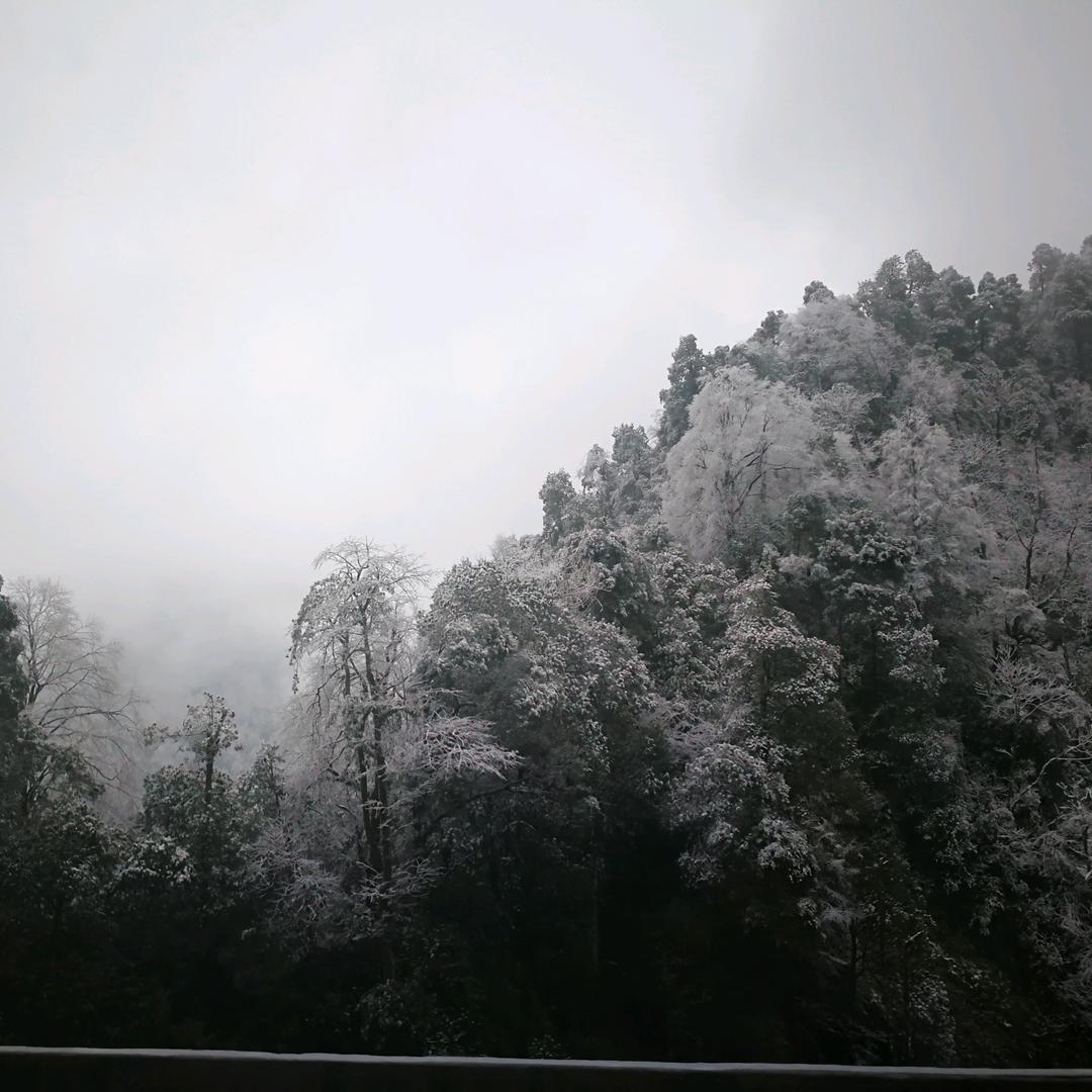 Monologue独角戏