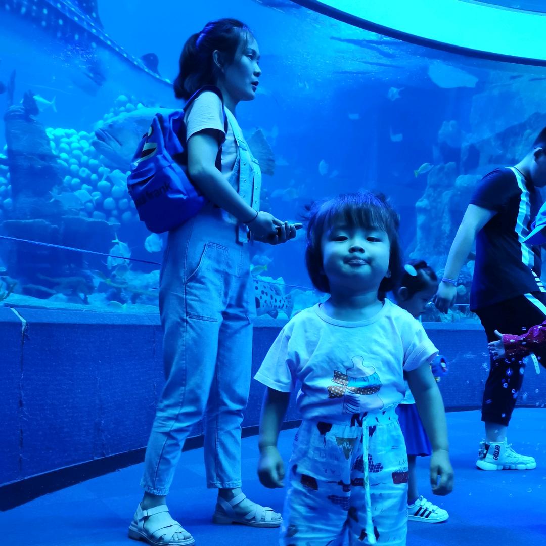 一直在出差的路上