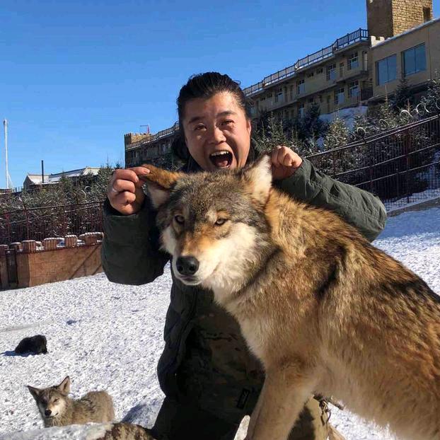 我在新疆养狼