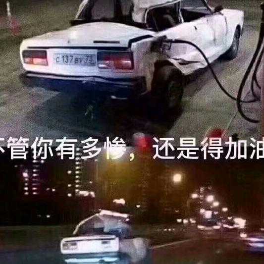 橘猫
