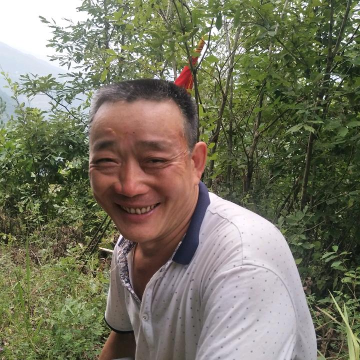法海