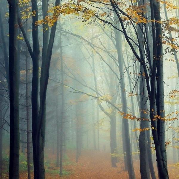 手机用户51790140402