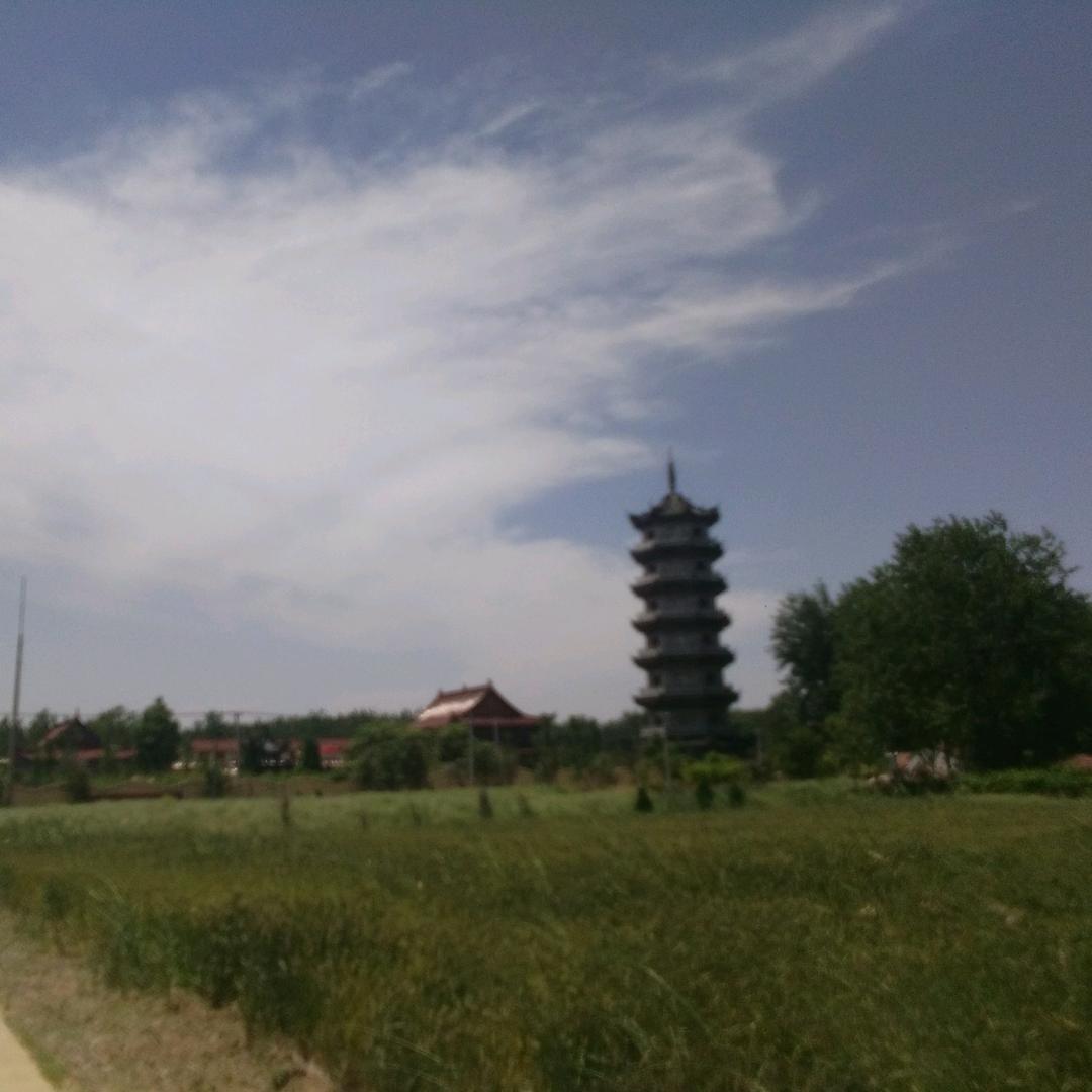 🌴杨四爷