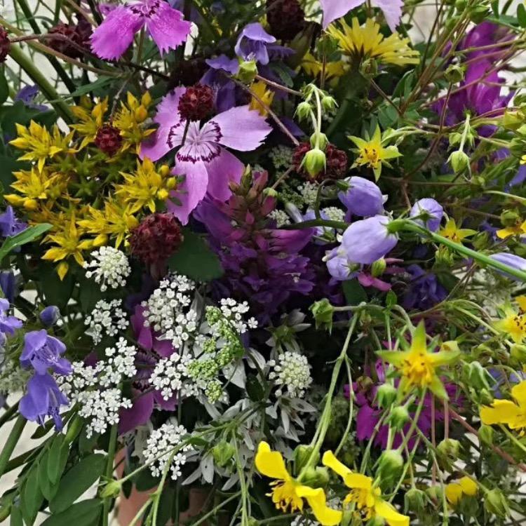 平平淡淡才是真