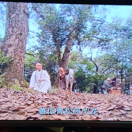 永不逝去的青春