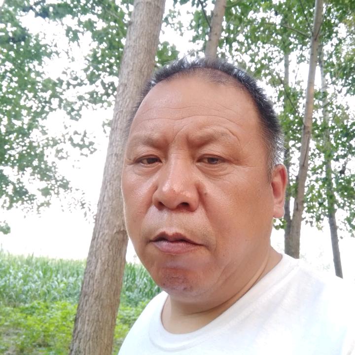 老董