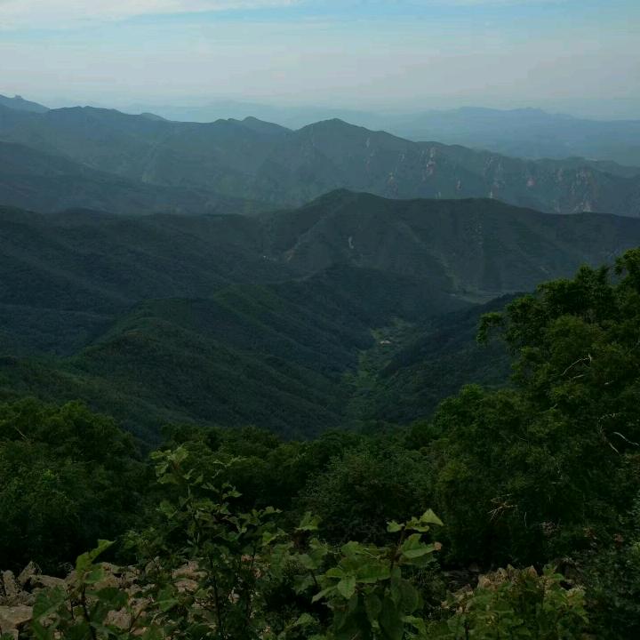 天下無雙