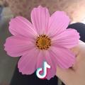 🌸汐汐🌸哈哈🌸