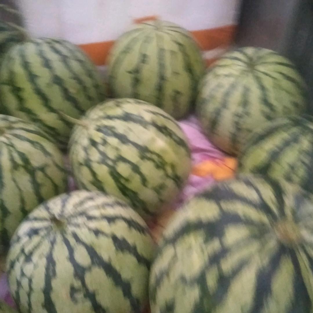 郑好有你