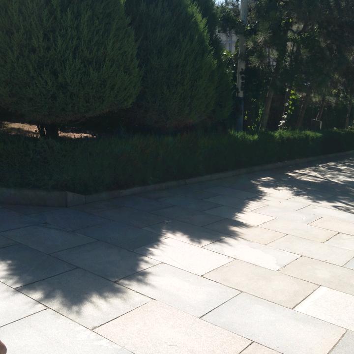 夏天的风