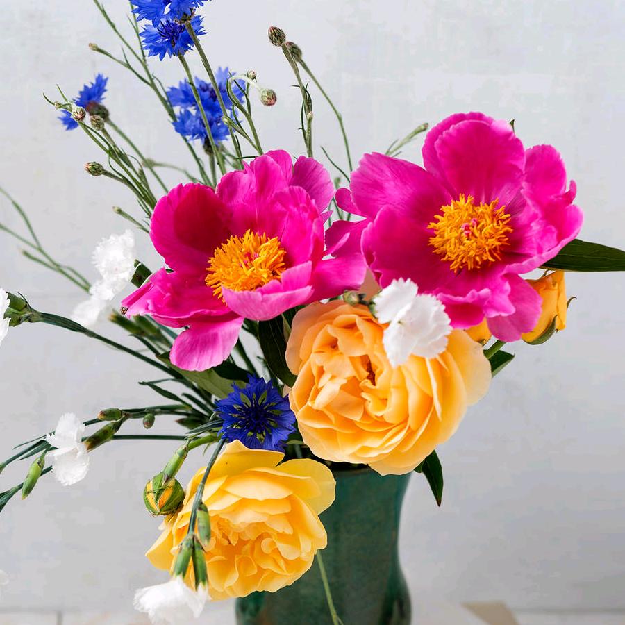 人生如梦🌺🌺