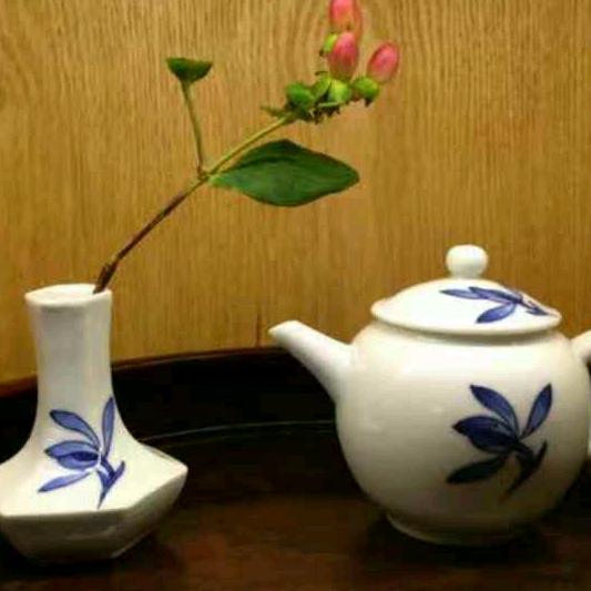 劫后重生予安国招