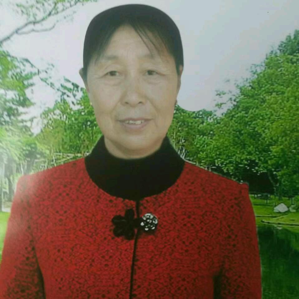 陈美珍