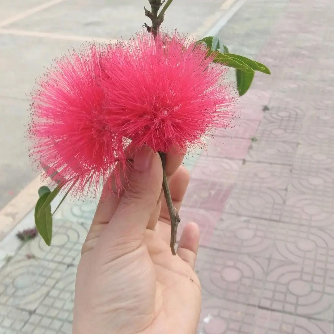 @燕子🌻🌻🌻🌻（拒绝私聊）☺