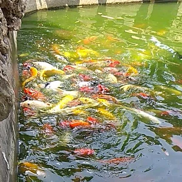 且行且珍惜