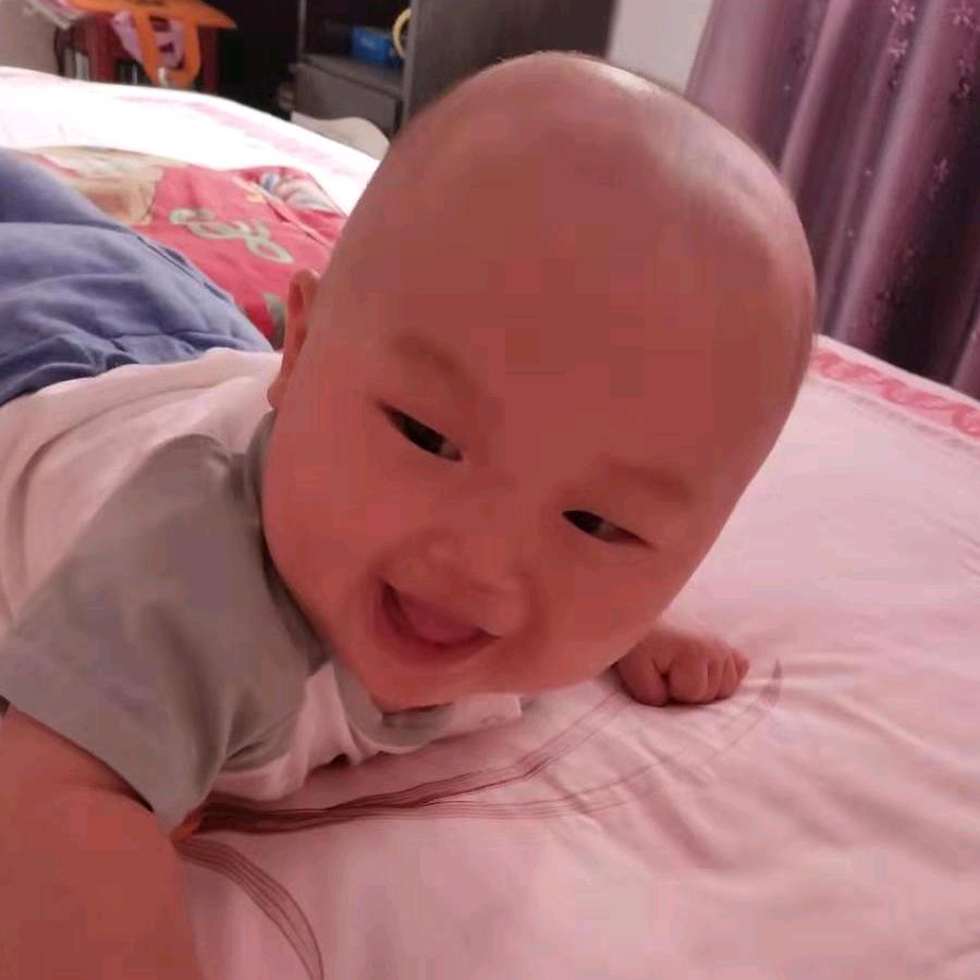 墨鱼