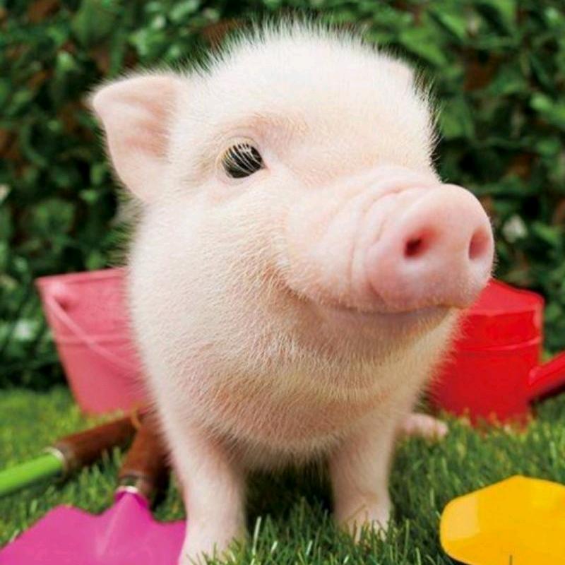 忘记风，却戒不掉你