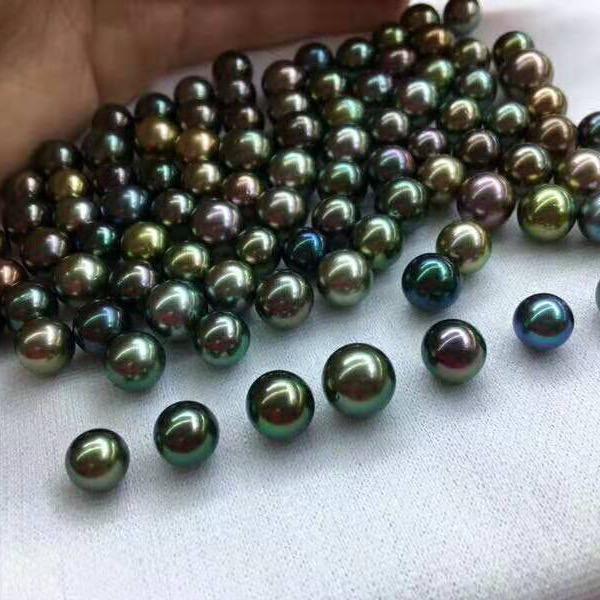 祺盛珍珠～豆子