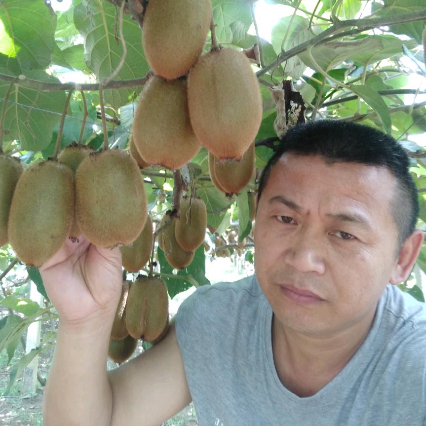 龙山土家特产批发