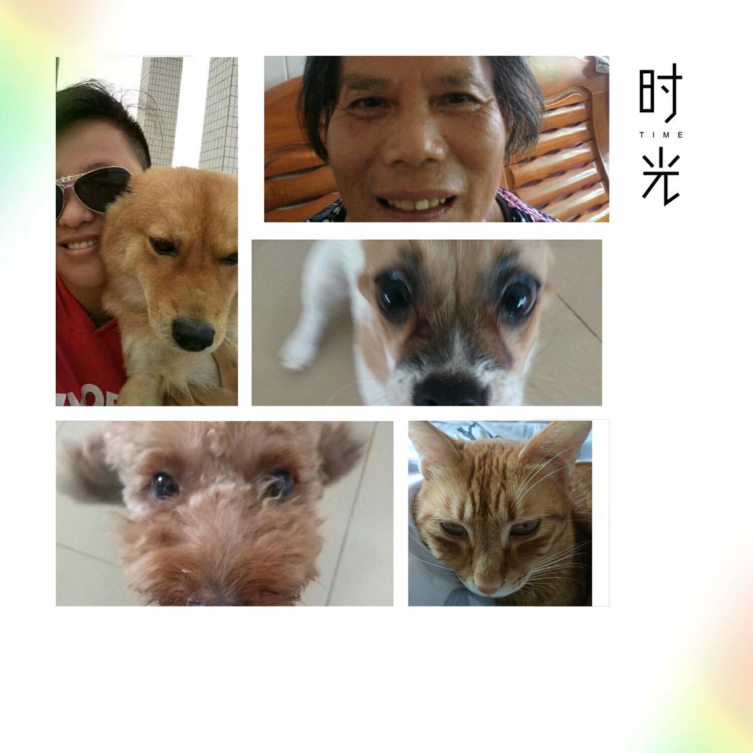 爱吃罗非的牛牛-包梓君