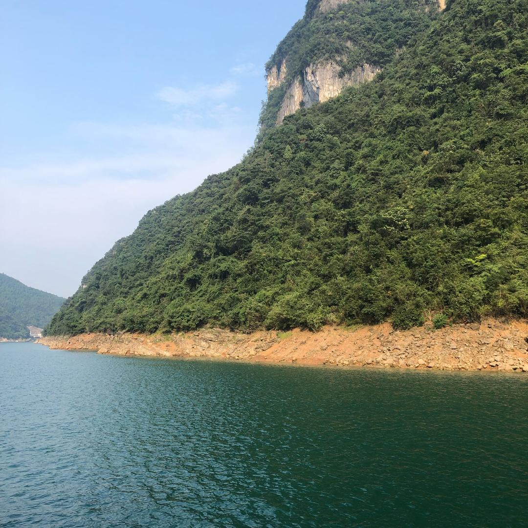 三水问茶🍵