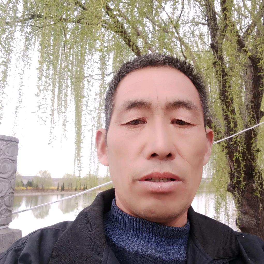 灵宝老孟水果供应链