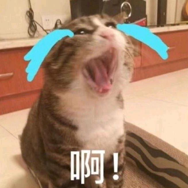 莫小方