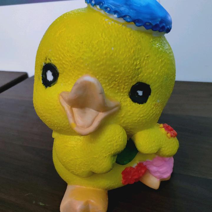 扑向小白兔
