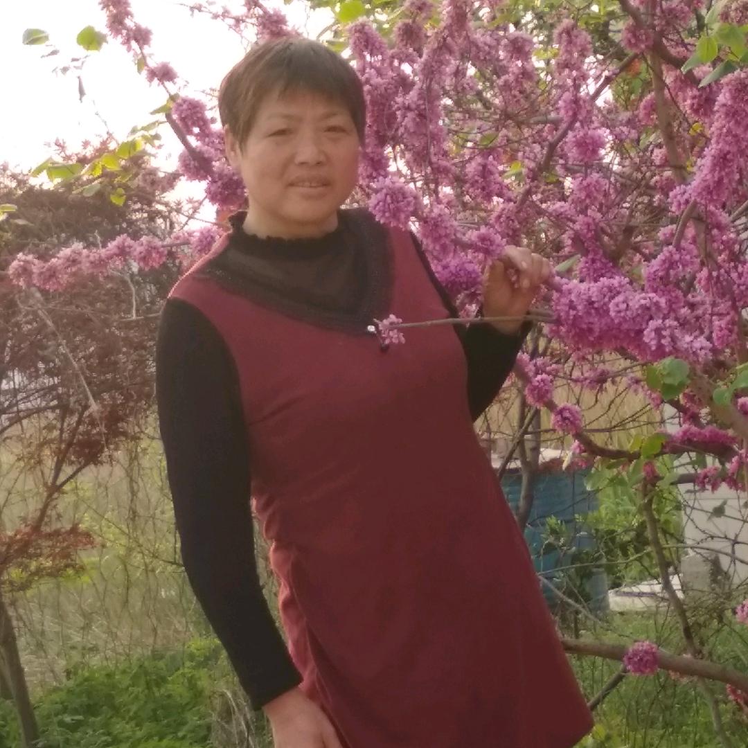 腊梅