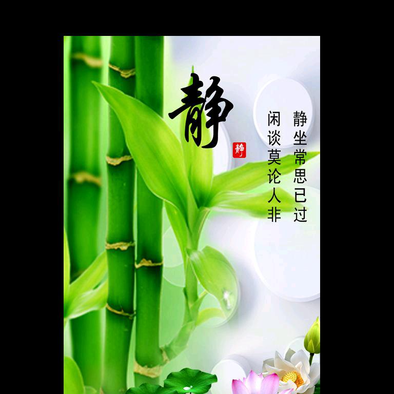 星耀明视力养护西关店