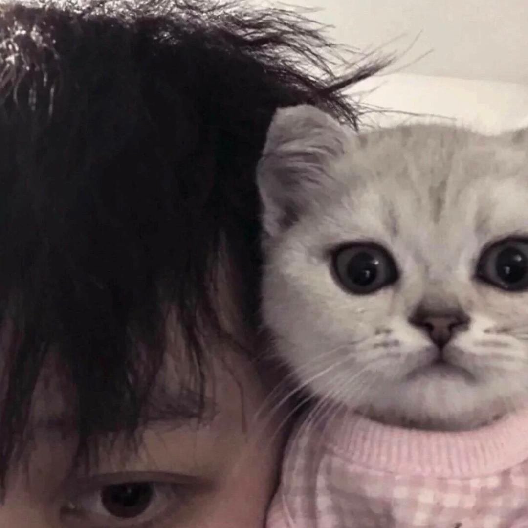 是阿哲🍀