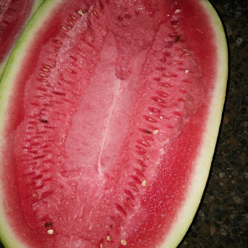 万能西瓜