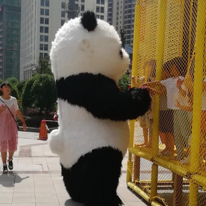 财神的心头爱