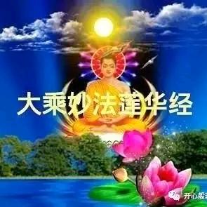 妙法莲心