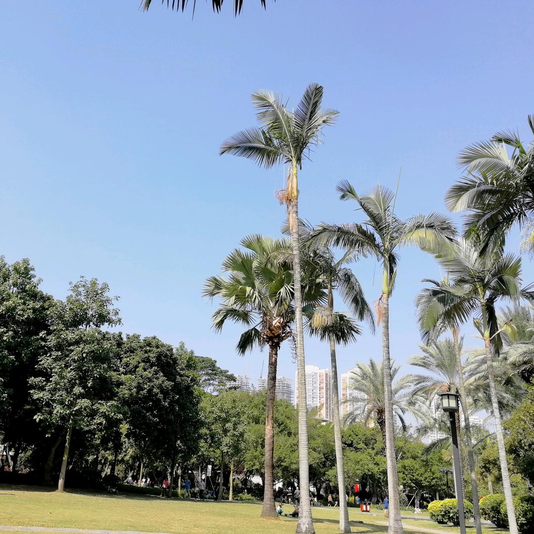 你我本无元