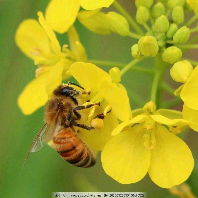人生没有回头路