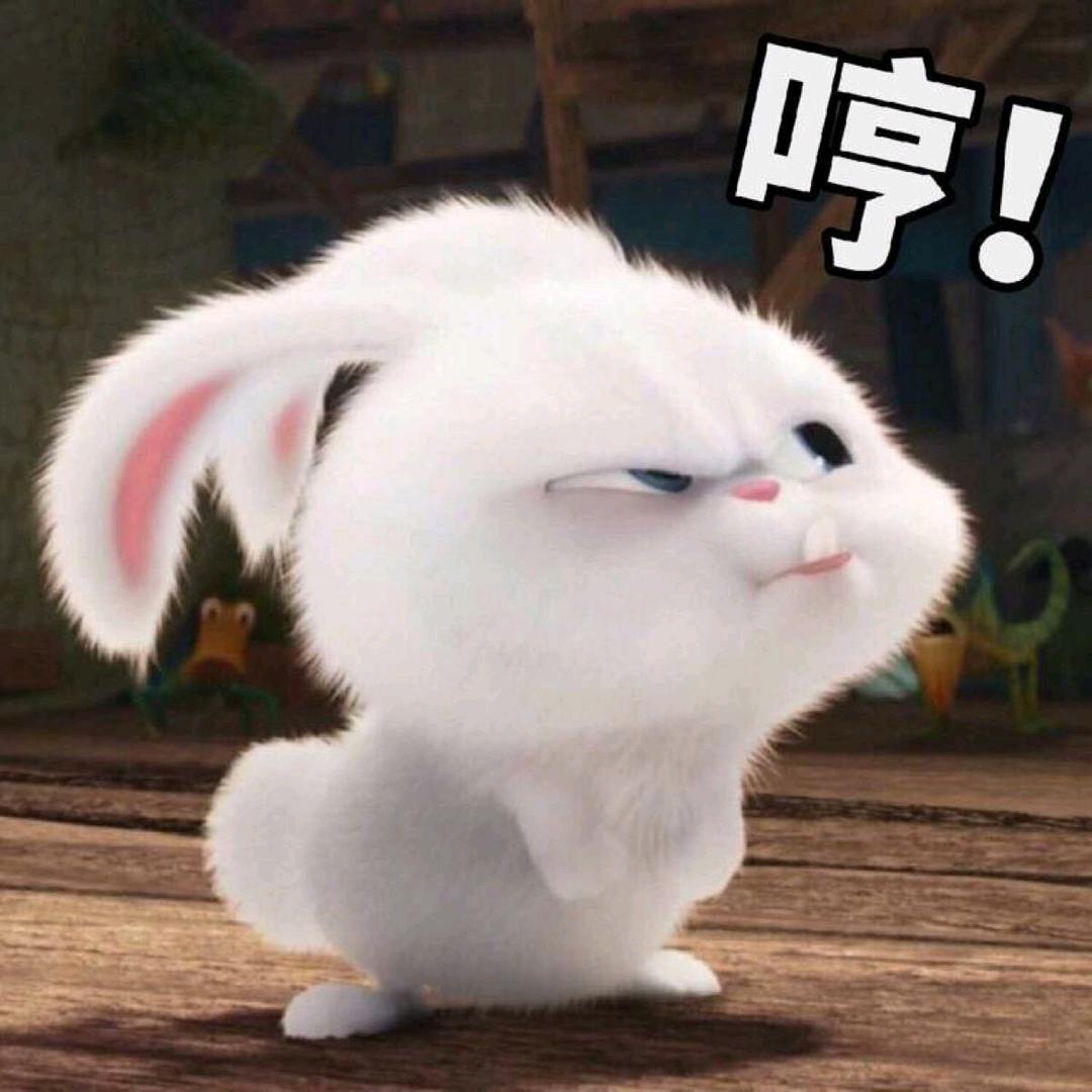 冰冰