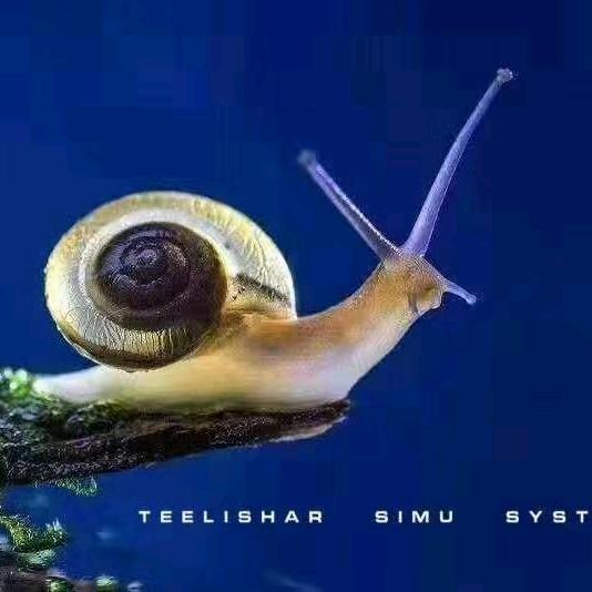 梦想飞翔的蜗牛