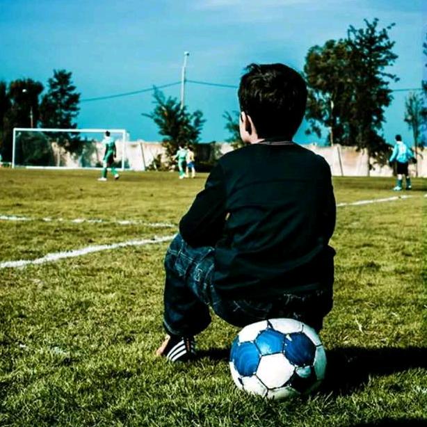 都市迷途小药童