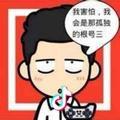 心飞若辰