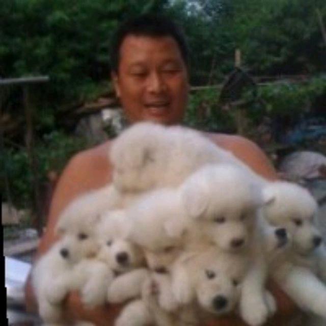 樱桃园垂钓中心