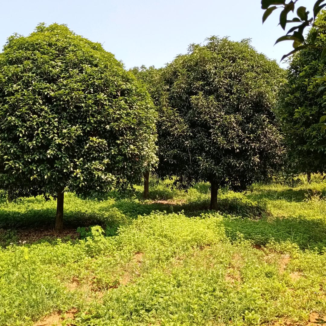 人生要自己去改变未来