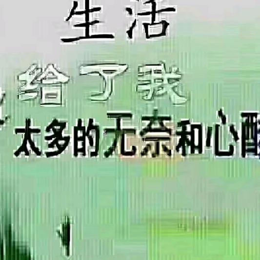 爱以欠费情以停机