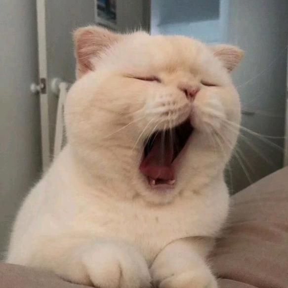 胖子不得不减肥