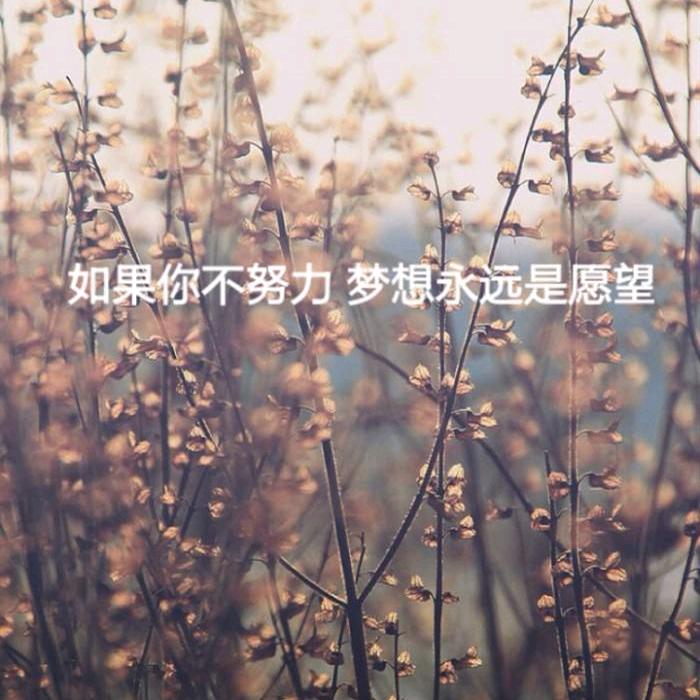 一人立志，万夫莫敌