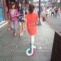 翱翔飞燕