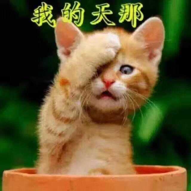酒窝里的幸福